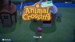 Game: Animal Crossing: New Horizons