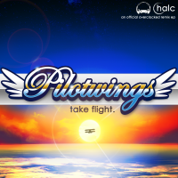 Pilotwings: take flight. front cover