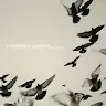 Axel_sky